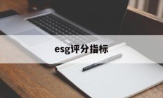 esg评分指标(essdai评分表)